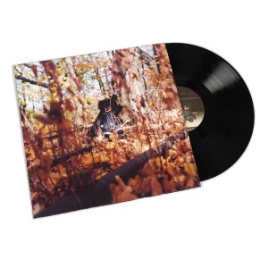 Golliwog 2LP vinyl