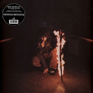 Revengeseekerz 2LP vinyl