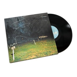 This Stupid World 2LP vinyl