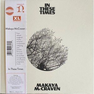 In These Times LP vinyl