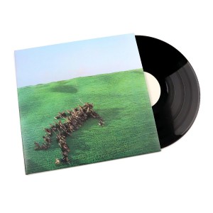 Bright Green Field 2LP vinil