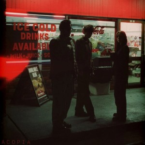 Acopia LP vinil