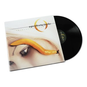 Thirteenth Step 2LP vinyl