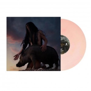 I Got Heaven LP vinil