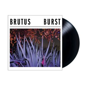 Burst LP vinyl