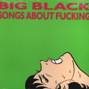 Songs About Fucking LP vinil