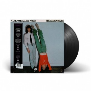 A Dream Is All We Know LP...