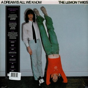 A Dream Is All We Know LP...