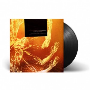 Fear Inoculum 3LP vinil