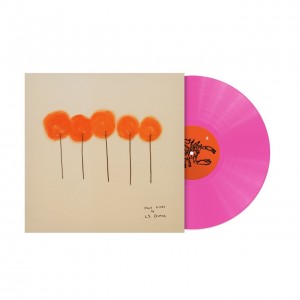 Past Lives LP (bubblegum...