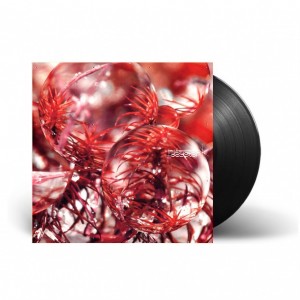 Daystar LP vinil