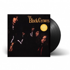 Shake Your Money Maker LP...