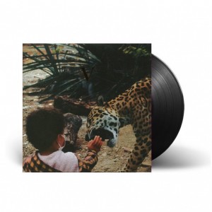 V 2LP vinyl