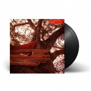Waiting to Spill LP vinil
