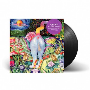 Panther Rotate LP vinyl