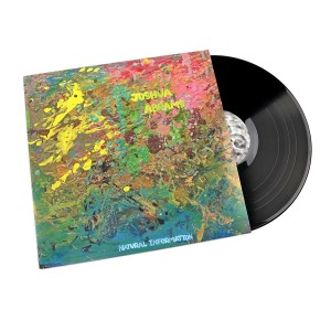 Natural Information LP vinil