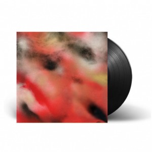 Songs Hurt Me LP vinyl