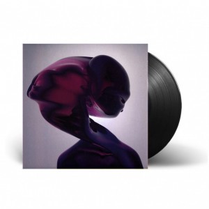 Reflection LP vinil