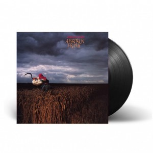A Broken Frame LP vinil