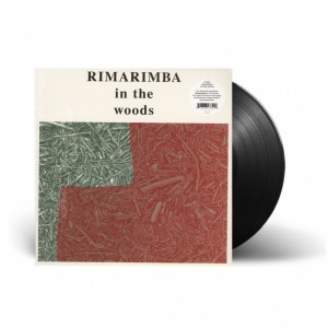 In The Woods LP vinyl