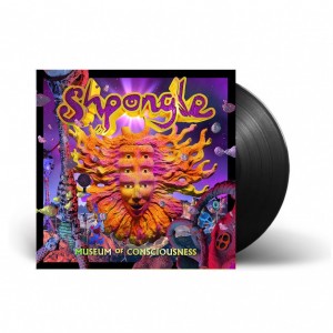 Museum Of Consciousness 2LP...
