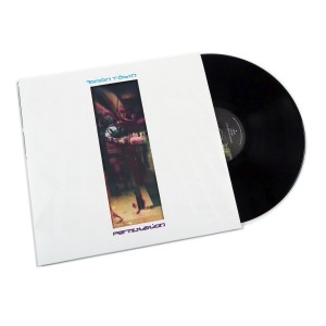 Permutation 2LP vinil