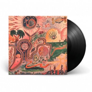 Wondrous Bughouse 2LP vinil