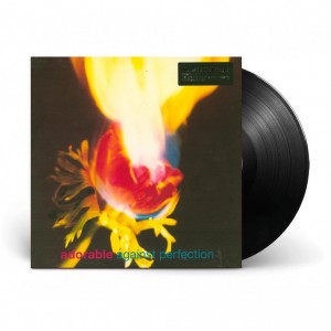 Against Perfection LP vinil