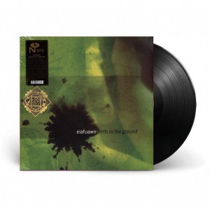 Birds In The Ground LP vinil