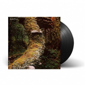 Kosmischer Pitch LP vinil