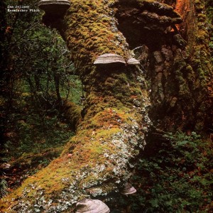 Kosmischer Pitch LP vinil