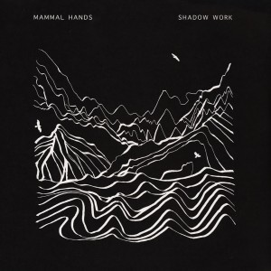 Shadow Work 2LP vinil