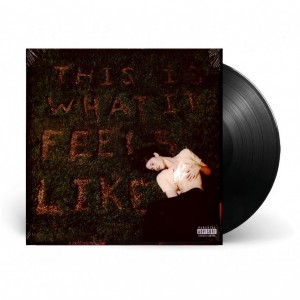 This Is What It Feels Like...