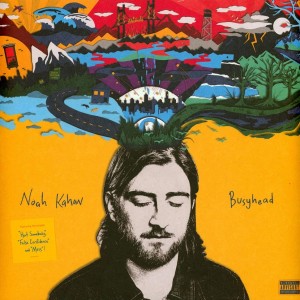 Busyhead LP vinil
