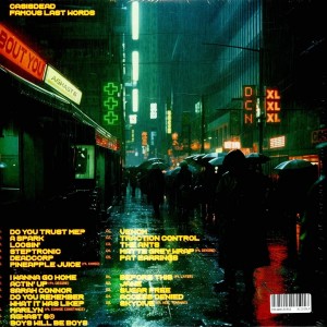 Famous Last Words 2LP vinyl
