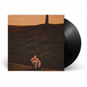 No Burden LP vinyl