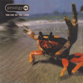Fat Of The Land 2LP vinyl