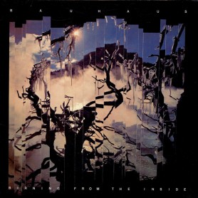 Burning From The Inside LP