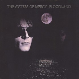 Floodland LP vinyl