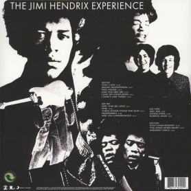 Are You Experienced 2LP vinil