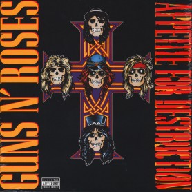 Appetite For Destruction LP...