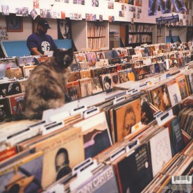 Endtroducing... 2LP