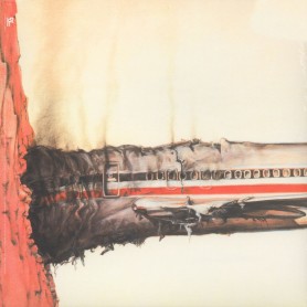 Licensed To Ill LP (maroon...
