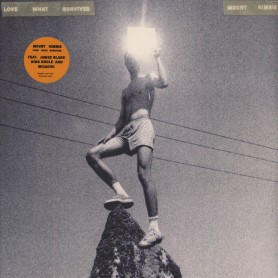 Love What Survives 2LP vinil