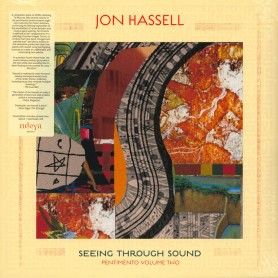 Seeing Through Sound...