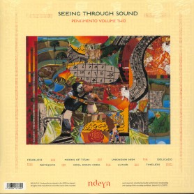 Seeing Through Sound...