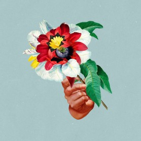 Kingdoms In Colour LP