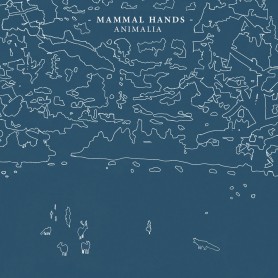 Animalia LP vinyl