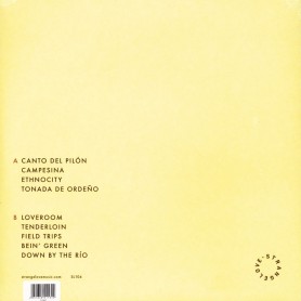 Echoes LP vinyl