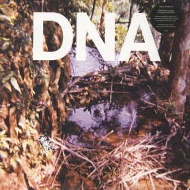 A Taste Of DNA EP